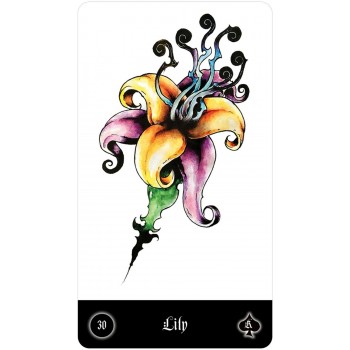 Malefique Lenormand kortos US Games Systems